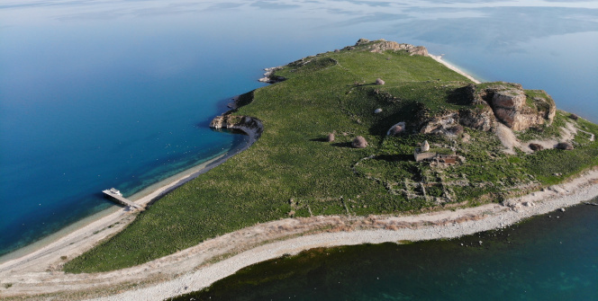 Martılar, Çarpanak Adası'nda kuluçkaya girdi