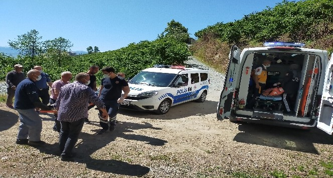 Ordu’da kestiği ağacın altına kalan yaşlı şahıs, 112 ekiplerince kurtarıldı