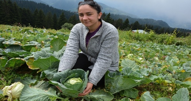 Ordu’da E-ticaret sistemi üreticiye kazandırıyor