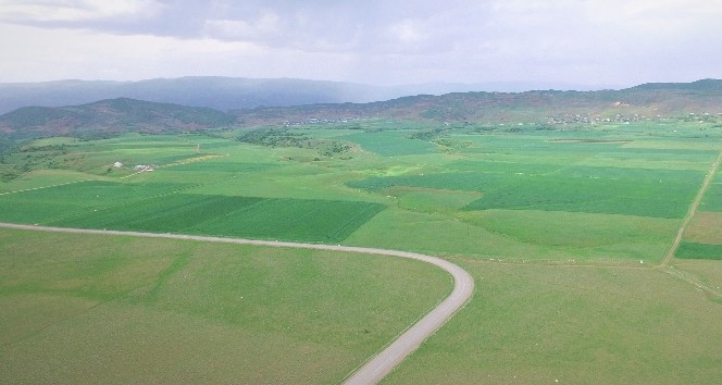 Bingöl’de bin 500 kişinin tarımsal istihdamına katkı sağlayacak projede sona gelindi