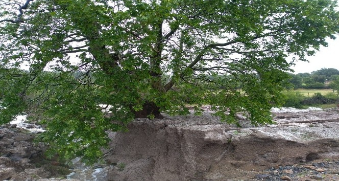 Çanakkale Köseler köyüne 1,5 metrelik dolu yağdı