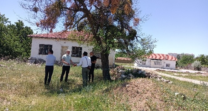 Şehitlerin isimleri ağaçta yaşatılacak