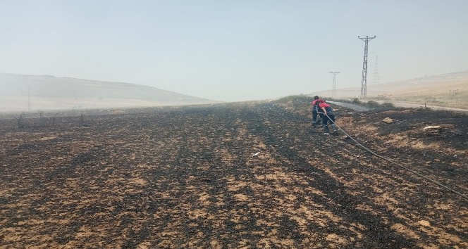Çöplükten sıçrayan alevler 20 dönüm buğday ekili araziyi küle çevirdi
