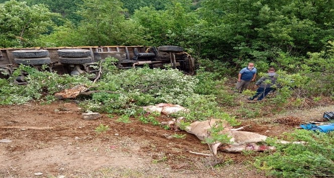 Kamyonun altında kalmaktan son anda kurtuldu