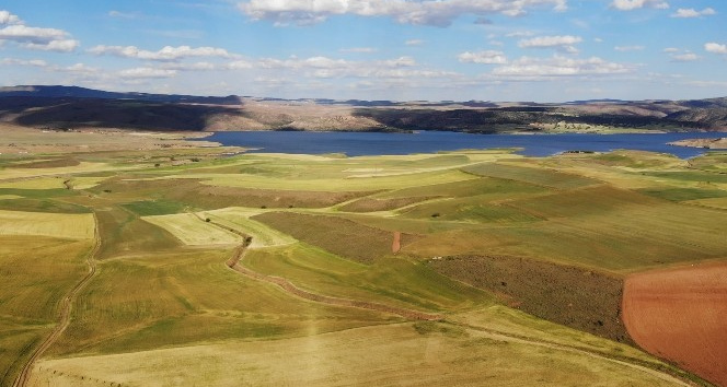Kuraklık hububat üretimini olumsuz etkiledi