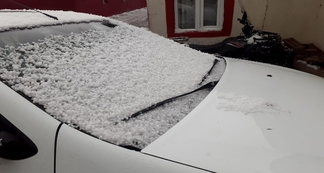 Dolu yağışı beyaza bürüdü. Şiddetli fırtına seralara zarar verdi, ağaçları devirdi