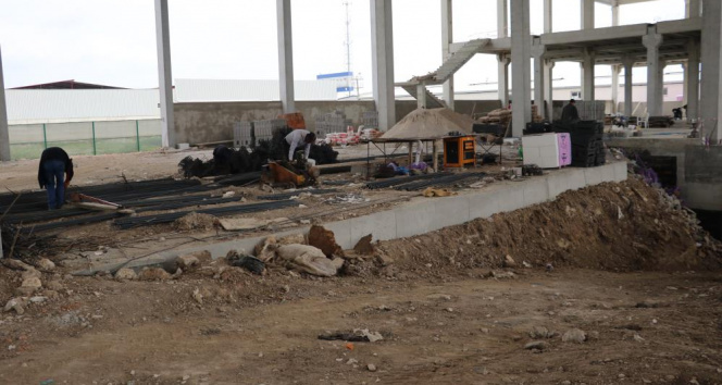 Adanalı firma yerli klima üretecek