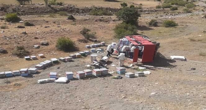 Bingöl’de arı yüklü kamyon devrildi