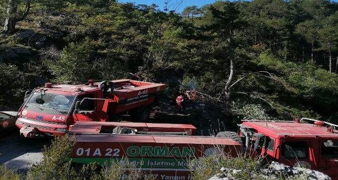 Tarladan ormanlık alana sıçrayan yangın söndürüldü