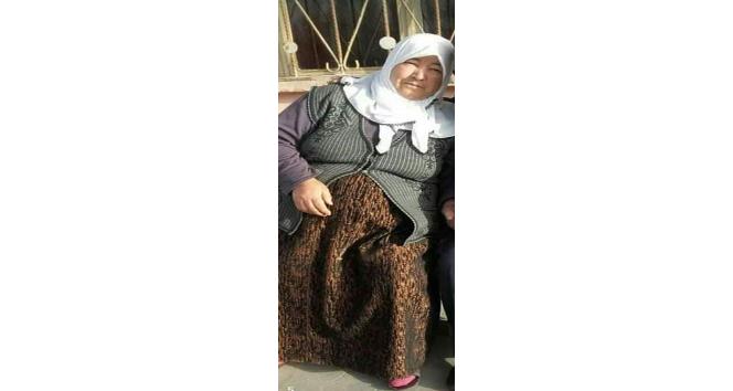 Kenenin neden olduğu ölümlere bir yenisi eklendi