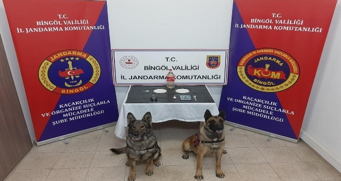 Bingöl’de uyuşturucu operasyonu: 2 şüpheli tutuklandı