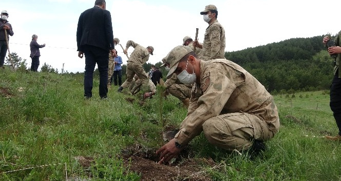 Jandarmanın kuruluş yıl dönümü anısına 182 fidan dikildi