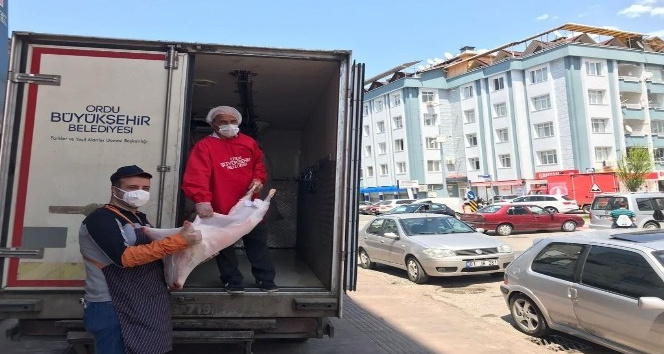 Hayvan besicilerinin imdadına Hilmi Güler yetişti