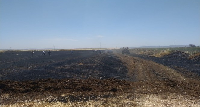 Biçerdöver hasat yaparken yangına neden oldu