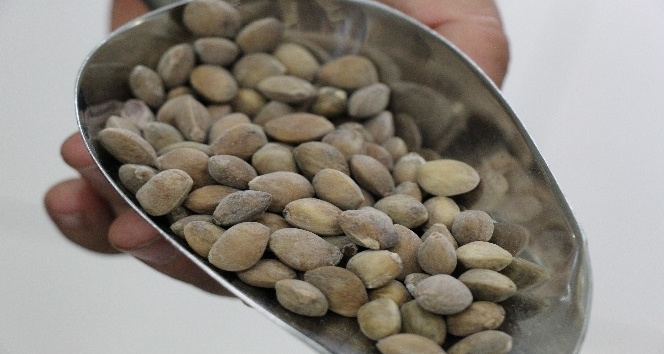 Faydaları saymakla bitmiyor, fiyatı el yakıyor