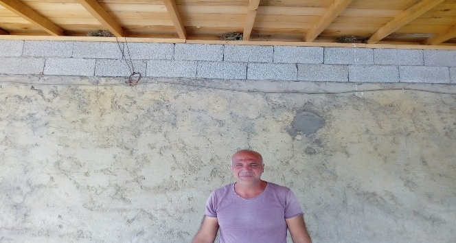 Mühendis gibi yuva yapan kuşlar evin çatısını mesken tuttu