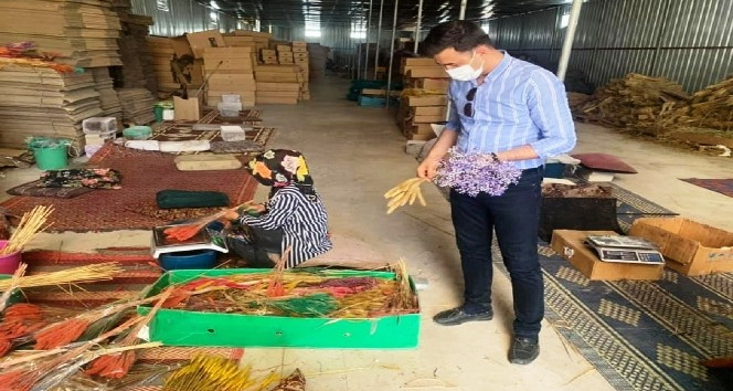 Karaisalı’dan 10 ülkeye süs bitkisi ihracatı