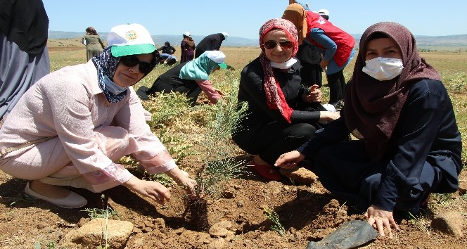 Bingöl’de kadınlar, 3 bin fidanı toprakla buluşturdu