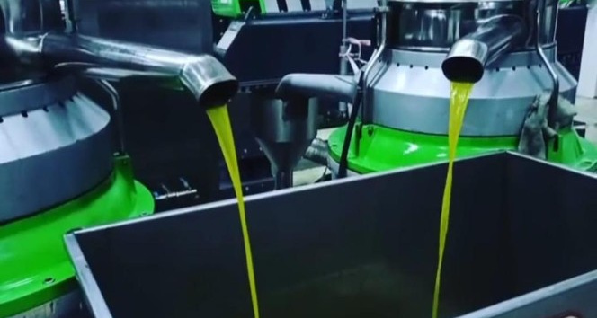 Kilis Zeytinyağı Coğrafi işaret aldı