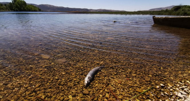 Büyük Menderes Nehri'nde kuraklıktan dolayı kuruma tehlikesi baş gösterdi