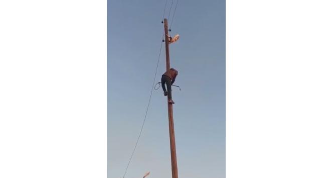 Mardin’de direkte mahsur kalan kedinin cesaretlendiği dakikalar yüzleri güldürdü