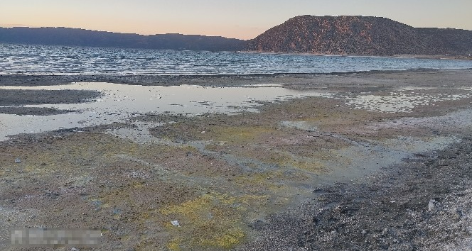 Salda Gölü’ndeki değişimin nedeni mevsimsel polenler