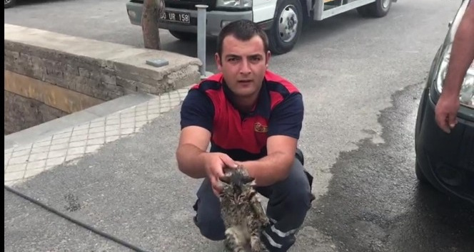 Araca sıkışan kedi itfaiye ekiplerince kurtarıldı