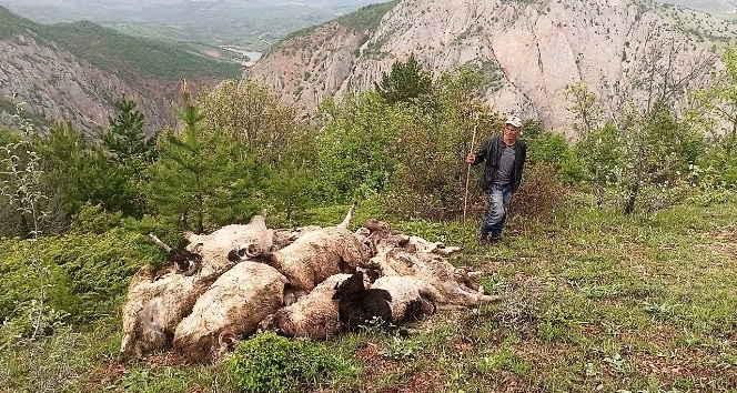 Borçla almıştı, ağıla girdiğinde şoka uğradı
