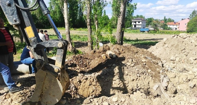 Kanalizasyon hattı inşaatında işçiler Apollon heykeli buldu