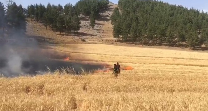Kahramanmaraş’ta buğday tarlası yandı