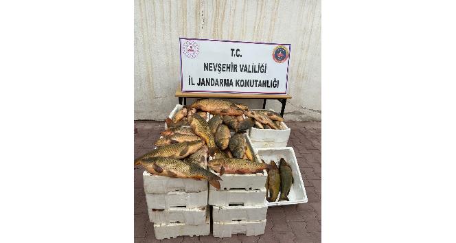 Kızılırmak’tan kaçak balık tutan şüpheli yakalandı