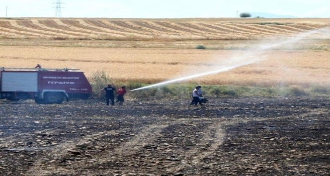 Sigara izmariti buğday tarlasını küle çevirdi