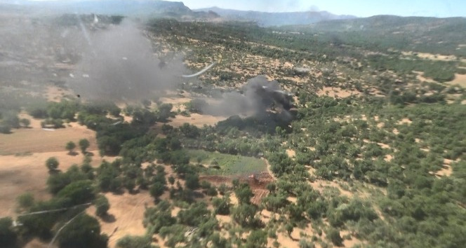 Diyarbakır’da dev uyuşturucu operasyonu: 2,5 milyon kök kenevir ele geçirildi, 26 kişi gözaltına alındı