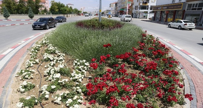 Karaman’da kavşak ve refüjler gül ve çiçeklerle donattı
