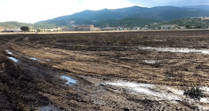 Kahramanmaraş’ta 200 dekarlık buğday tarlası yandı