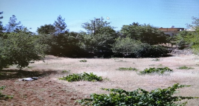 Mardin’de boş arazide erkek cesedi bulundu