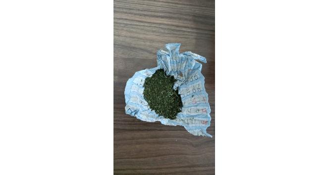 Evinin bahçesinde uyuşturucu yetiştiren kişiye polis baskını