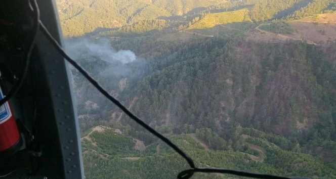 Kahramanmaraş’ta orman yangını