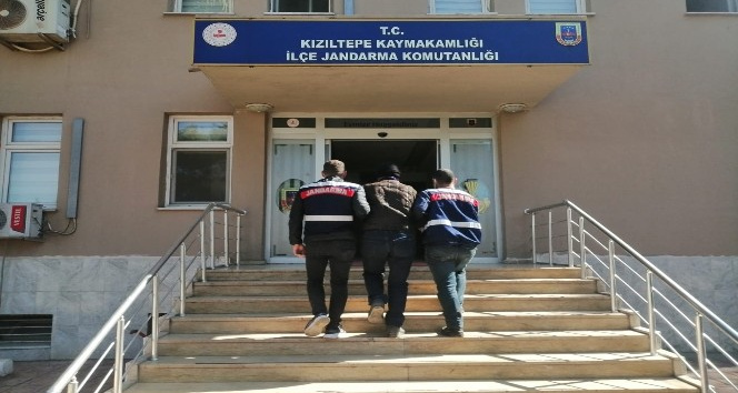 Mardin’de 10 yıl kesinleşmiş hapis cezası bulunan zanlı jandarma tarafından yakalandı