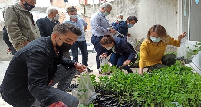 5 bin fide çiftçilere dağıtıldı