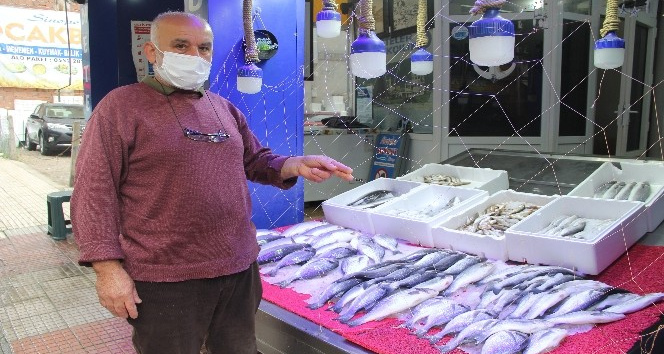 Hırsız martılar bezdirdi, balık satıcıları böyle önlem aldı