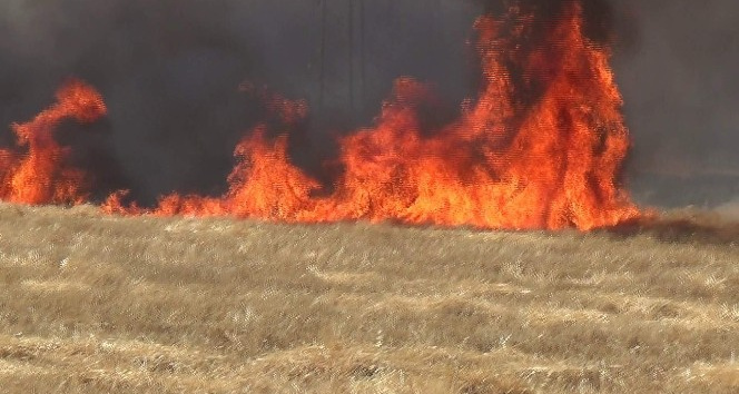 İtfaiye müdüründen çiftçilere anız yangını uyarısı