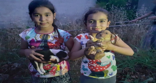 Çuvalda ölüme terk edilen köpek yavrularını çocuklar kurtardı
