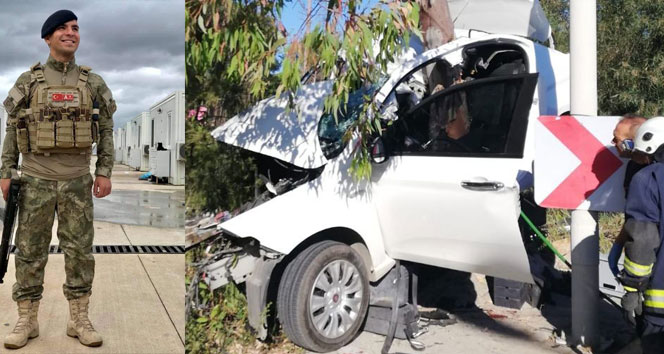 Ağaca çarpan otomobil adeta ortadan ikiye bölündü