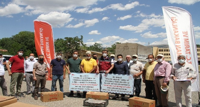 Bingöl’de çiftçilere hibeli çilek fidesi dağıtıldı