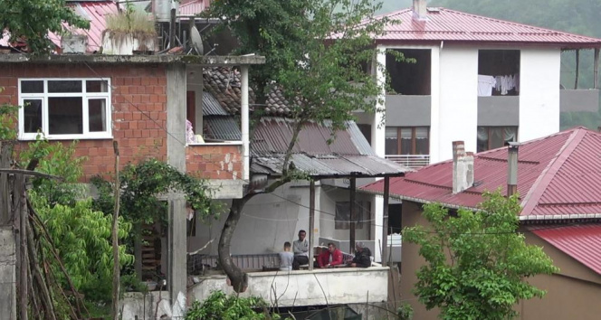 Babasının diktiği armut ağacını kesmeye kıyamadı, balkonun içerisinden geçirdi