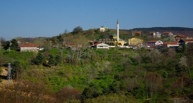 Ereğli’de muhtarlık seçimleri tamamlandı