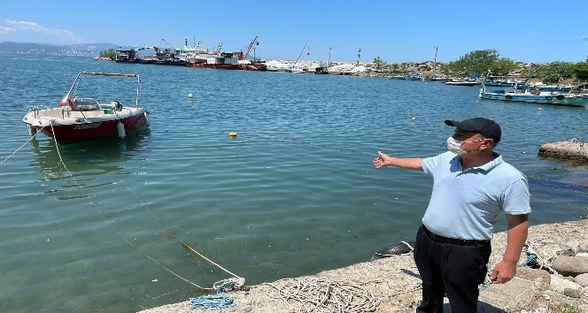 Ordu’daki ’deniz salyası’ iddialarına yalanlama