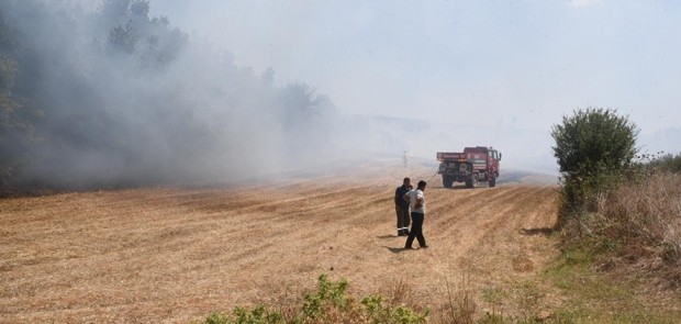 Kanepe hurdasını almak içi ormanı yakıyordu, 155 bin TL para cezasına çarptılırdı