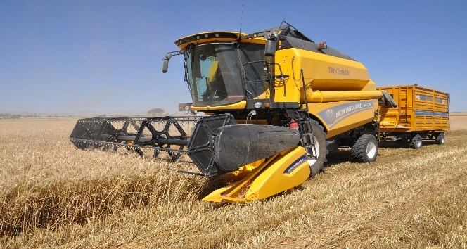 Mardin’de sulu buğdayda verim artışı çiftçiyi sevindirdi